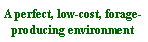 Text Box: A perfect, low-cost, forage-producing environment