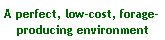 Text Box: A perfect, low-cost, forage-producing environment